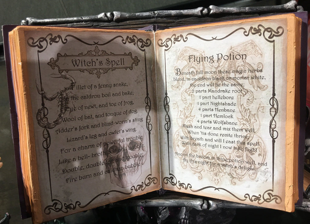Katherine's Collection Witches Spellbook & Skeleton Holder