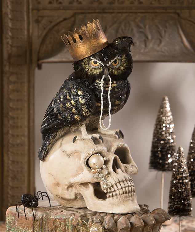 Sir Wingston Owl on Skull